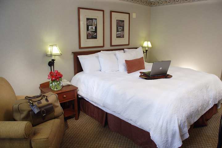Hampton Inn & Suites Chicago-Downtown Room photo